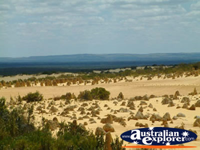 Cervantes the Pinnacles View  . . . CLICK TO VIEW ALL PINNACLES POSTCARDS