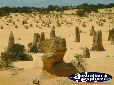Cervantes the Pinnacles Close Up . . . CLICK TO VIEW ALL PINNACLES POSTCARDS
