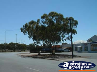 View Down Kambalda Street . . . VIEW ALL KAMBALDA PHOTOGRAPHS