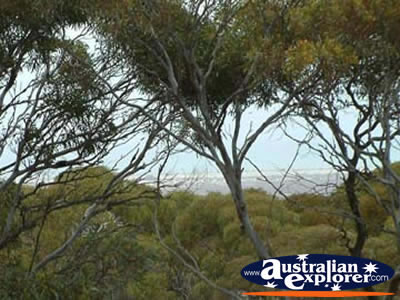 Eucla View . . . VIEW ALL EUCLA PHOTOGRAPHS