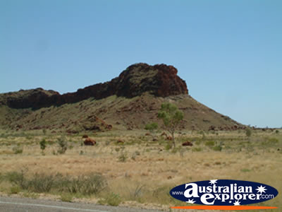 Landscape Before Fitzroy Crossing . . . CLICK TO VIEW ALL FITZROY CROSSING POSTCARDS