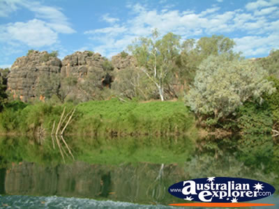 View of Geikie Gorge Greenery . . . VIEW ALL GEIKE GORGE PHOTOGRAPHS