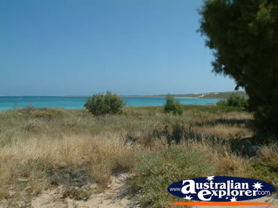 Coral Bay Coastline . . . CLICK TO VIEW ALL CORAL BAY POSTCARDS