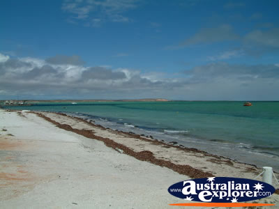 Beautiful Denham Shark Bay . . . VIEW ALL DENHAM PHOTOGRAPHS