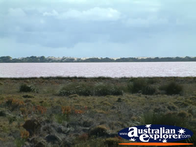 Pretty Northampton Pink Lake . . . VIEW ALL KALBARRI PHOTOGRAPHS