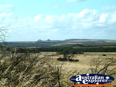 Scenery Between Kalbarri And Northampton . . . VIEW ALL KALBARRI PHOTOGRAPHS