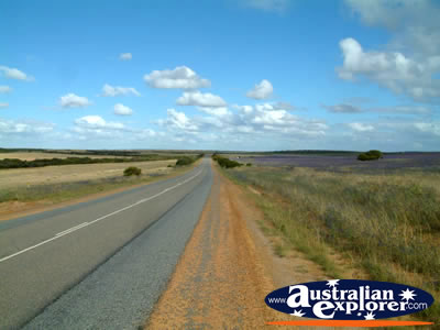 View Between Kalbarri And Northampton . . . VIEW ALL KALBARRI PHOTOGRAPHS