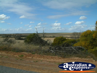Roadside View Between Kalbarri And Northampton . . . VIEW ALL KALBARRI PHOTOGRAPHS
