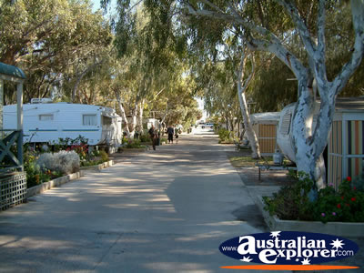 View of Greenough Rivermouth Caravan Park . . . VIEW ALL GREENOUGH PHOTOGRAPHS