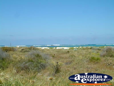 Lancelin View . . . CLICK TO VIEW ALL LANCELIN POSTCARDS
