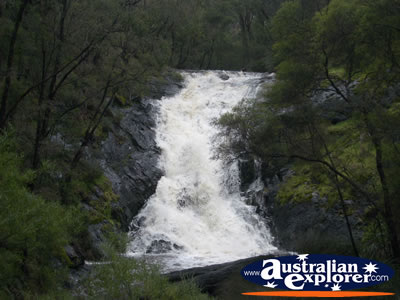 Beedelup Falls . . . CLICK TO VIEW ALL BEEDELUP POSTCARDS
