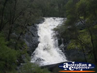 Beedelup Falls . . . CLICK TO ENLARGE
