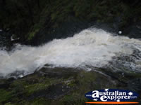 Waterfall at Beedelup Falls . . . CLICK TO ENLARGE
