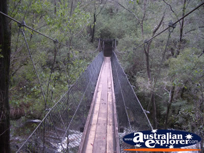Beedelup National Park . . . CLICK TO VIEW ALL BEEDELUP POSTCARDS