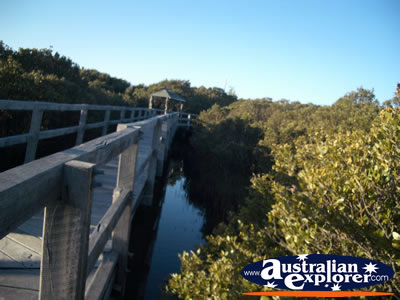 Bunbury Mangrove Boardwalk . . . VIEW ALL BUNBURY PHOTOGRAPHS
