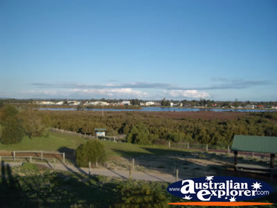 Bunbury Mangrove Cove View . . . VIEW ALL BUNBURY PHOTOGRAPHS
