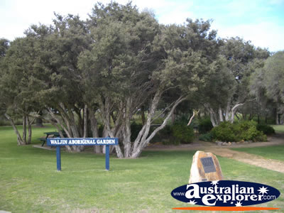 Busselton Waljin Aboriginal Garden . . . VIEW ALL BUSSELTON PHOTOGRAPHS