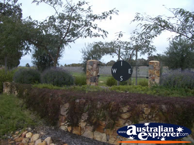 Dunsborough Winery . . . VIEW ALL DUNSBOROUGH PHOTOGRAPHS
