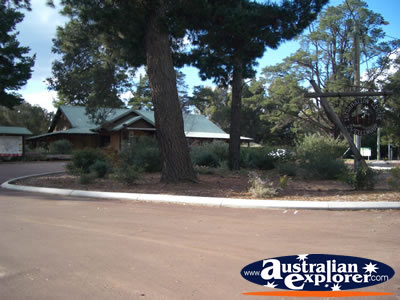 Dwellingup Information Centre . . . CLICK TO VIEW ALL DWELLINGUP POSTCARDS