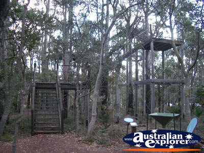 Jarrah Canopy Walk Forest Heritage Centre in Dwellingup . . . CLICK TO VIEW ALL DWELLINGUP POSTCARDS