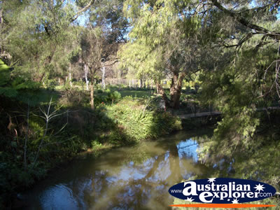 Harvey River . . . VIEW ALL HARVEY PHOTOGRAPHS
