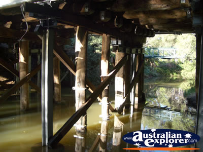 Under the Bridge at Harvey River . . . CLICK TO VIEW ALL HARVEY POSTCARDS
