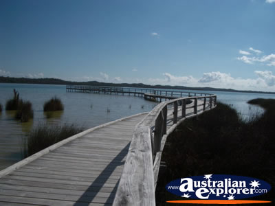 Lake Clifton The Thrombolites Jetty . . . VIEW ALL LAKE CLIFTON (THE THROMBOLITES) PHOTOGRAPHS