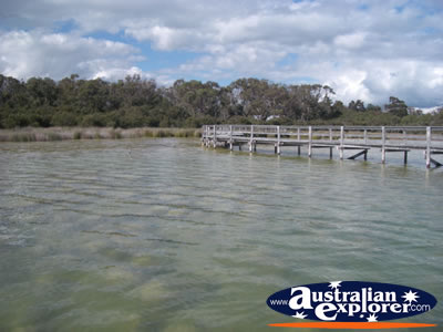 Lake Clifton The Thrombolites . . . CLICK TO VIEW ALL LAKE CLIFTON (THE THROMBOLITES) POSTCARDS