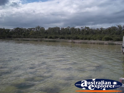 Lake Clifton The Thrombolites View . . . VIEW ALL LAKE CLIFTON (THE THROMBOLITES) PHOTOGRAPHS
