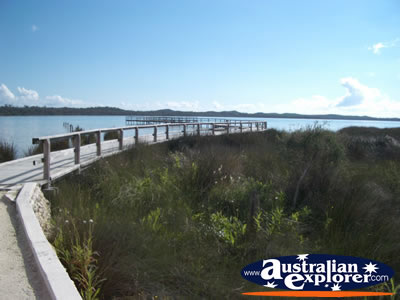 Lake Clifton The Thrombolites Bushes and Jetty . . . VIEW ALL LAKE CLIFTON (THE THROMBOLITES) PHOTOGRAPHS