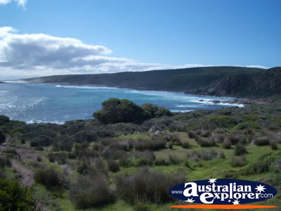 View of Leeuwin Naturaliste National Park . . . CLICK TO VIEW ALL CAPE LEEUWIN-NATURALISTE NP POSTCARDS