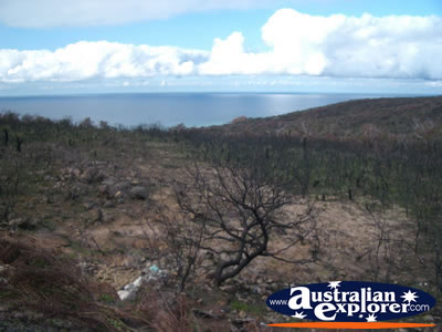Meelup Beach Road Scenic Lookout . . . VIEW ALL MEELUP BEACH (ROAD) PHOTOGRAPHS
