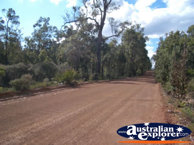 North Dandalup Dam Dirt Track . . . VIEW ALL NORTH DANDALUP DAM PHOTOGRAPHS