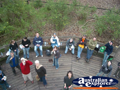 View from Pemberton Gloucester Tree . . . CLICK TO VIEW ALL PEMBERTON POSTCARDS