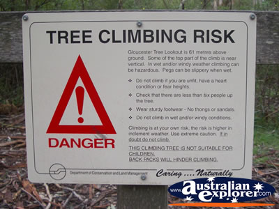 Pemberton Gloucester Tree Sign . . . CLICK TO VIEW ALL PEMBERTON POSTCARDS