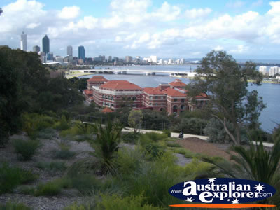 Perth Cbd From Kings Park . . . VIEW ALL PERTH (KINGS PARK) PHOTOGRAPHS