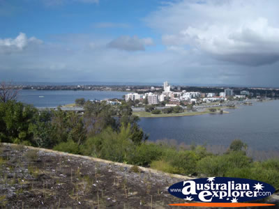Perth Kings Park View . . . CLICK TO VIEW ALL PERTH (KINGS PARK) POSTCARDS
