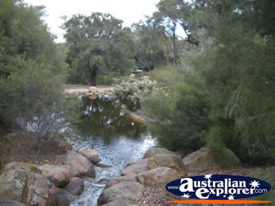 View of Perth Kings Park Water Gardens . . . CLICK TO VIEW ALL PERTH (KINGS PARK) POSTCARDS