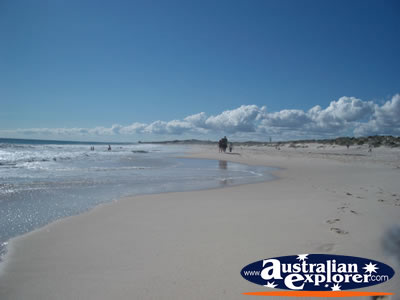 Landscape of Perth Swanbourne Beach . . . CLICK TO VIEW ALL PERTH BEACHES POSTCARDS