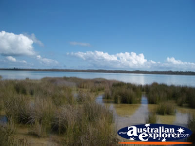 Yalgorup National Park Lake Clifton . . . VIEW ALL LAKE CLIFTON PHOTOGRAPHS
