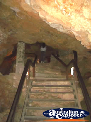 Yanchep National Park Caves Staircase . . . CLICK TO VIEW ALL YANCHEP (CAVES) POSTCARDS