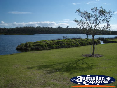 Yanchep National Park Landscape . . . VIEW ALL YANCHEP NATIONAL PARK PHOTOGRAPHS