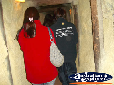 Tour in the Caves of Yanchep National Park . . . CLICK TO VIEW ALL YANCHEP (CAVES) POSTCARDS
