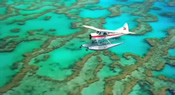 Great Barrier Reef Video